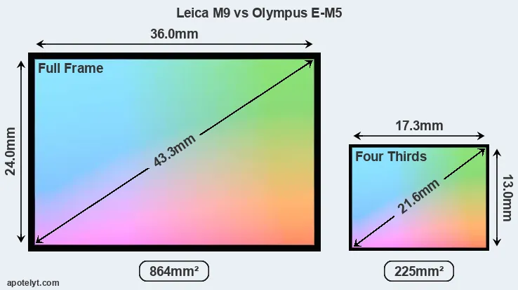 Leica M9 and Olympus E-M5 sensor measures
