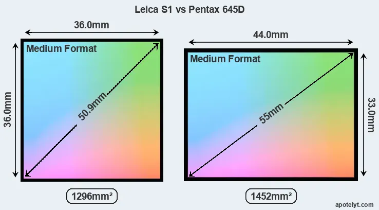 Leica S1 and Pentax 645D sensor measures