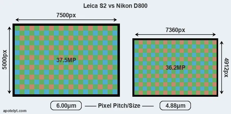 S2 versus D800 MP