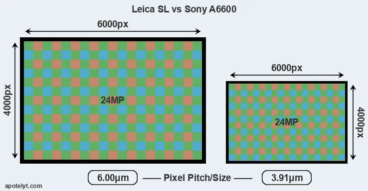 Leica SL versus A6600 MP