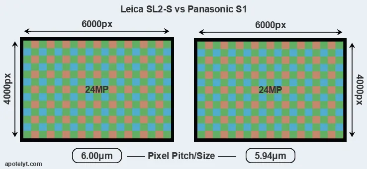 Leica SL2-S versus S1 MP