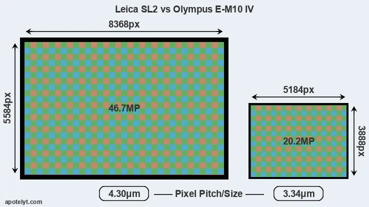 Leica SL2 versus E-M10 IV MP