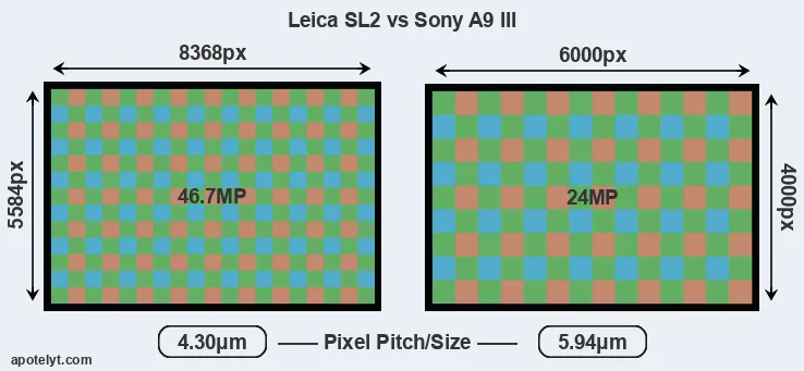 Leica SL2 versus A9 III MP