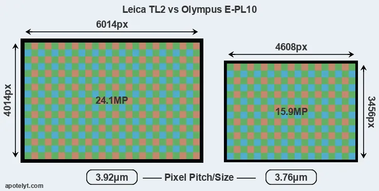 TL2 versus E-PL10 MP