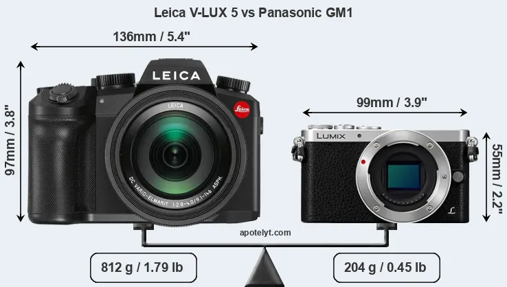 Size Leica V-LUX 5 vs Panasonic GM1