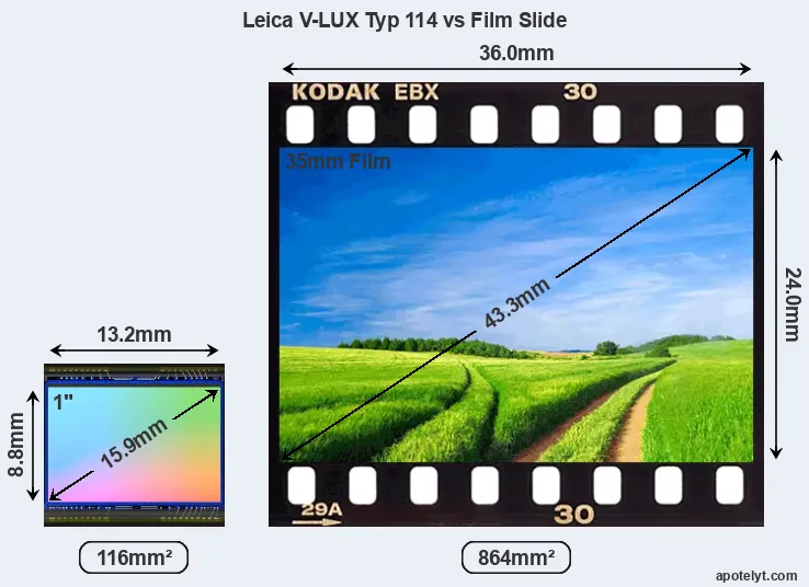 Leica V-LUX Typ 114 sensor measures