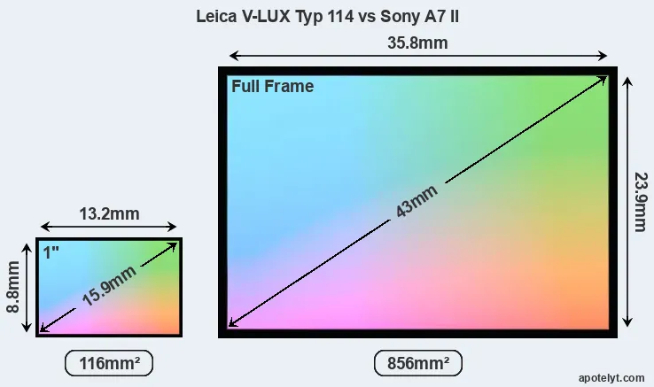 Leica V-LUX Typ 114 and Sony A7 II sensor measures