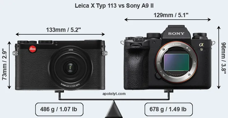 Size Leica X Typ 113 vs Sony A9 II
