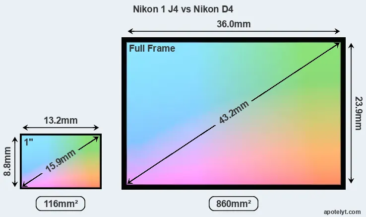 Nikon 1 J4 and Nikon D4 sensor measures