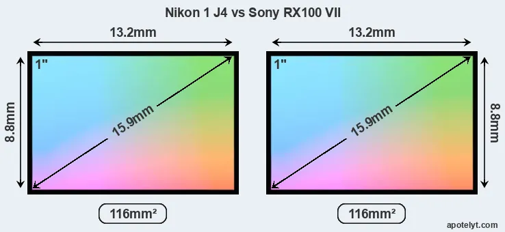 Nikon 1 J4 and Sony RX100 VII sensor measures