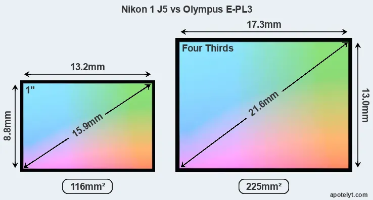 Nikon 1 J5 and Olympus E-PL3 sensor measures