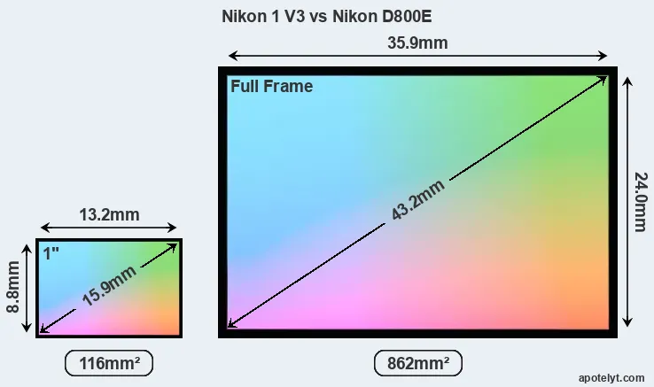 Nikon 1 V3 and Nikon D800E sensor measures