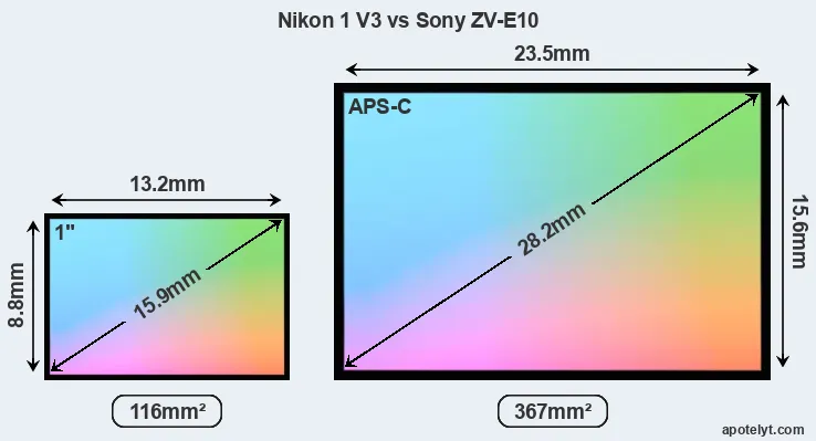 Nikon 1 V3 and Sony ZV-E10 sensor measures