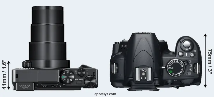 Compare A1000 versus D3100 top