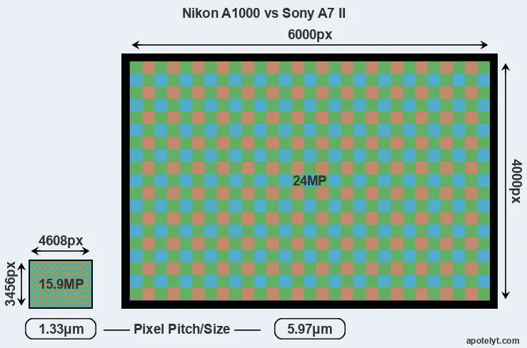 A1000 versus A7 II MP
