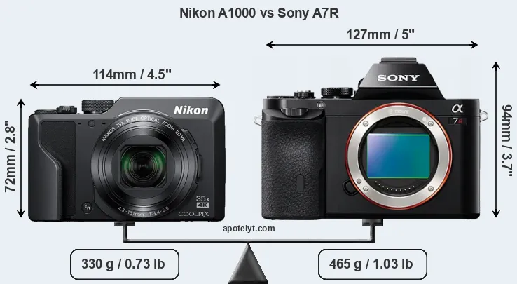 Size Nikon A1000 vs Sony A7R