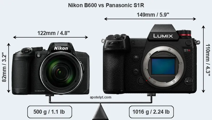 Size Nikon B600 vs Panasonic S1R