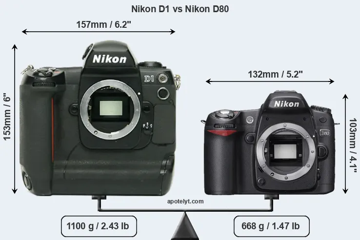Size Nikon D1 vs Nikon D80