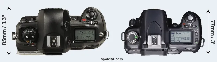 Compare D1 versus D80 top