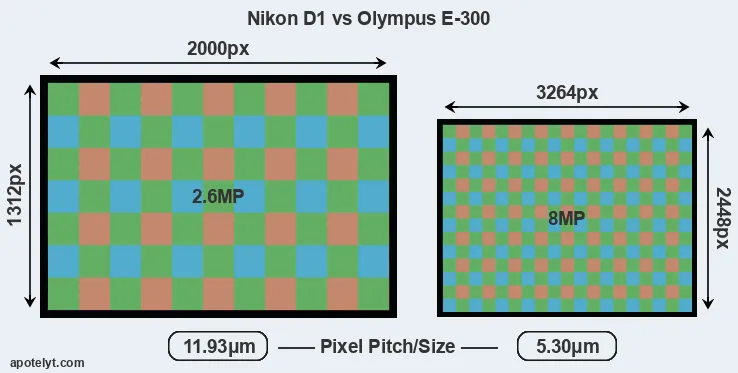 D1 versus E-300 MP
