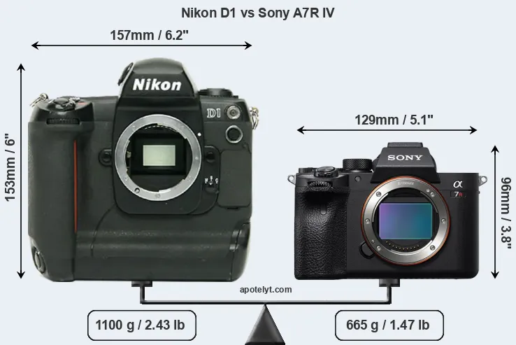 Size Nikon D1 vs Sony A7R IV