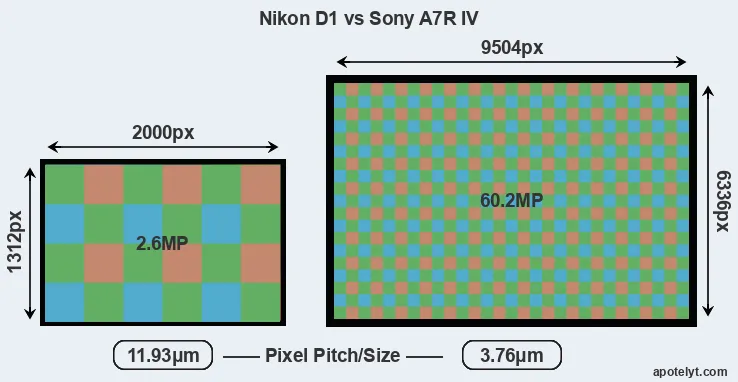 D1 versus A7R IV MP