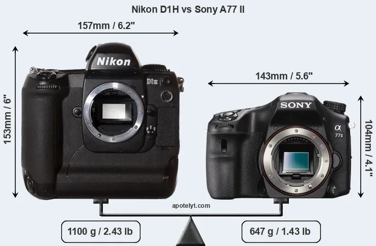 Size Nikon D1H vs Sony A77 II