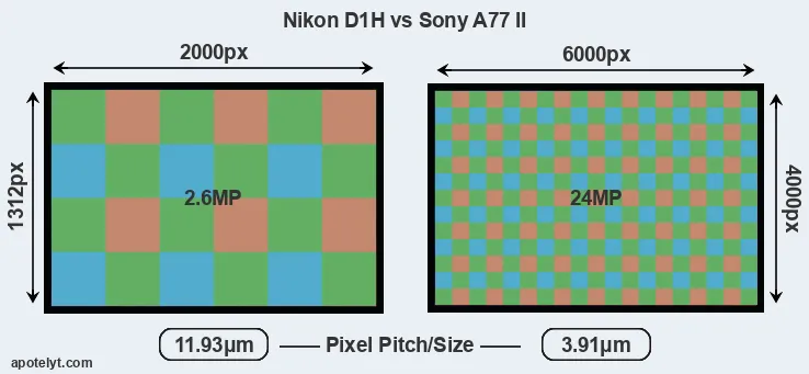 D1H versus A77 II MP