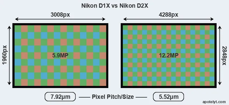 D1X versus D2X MP