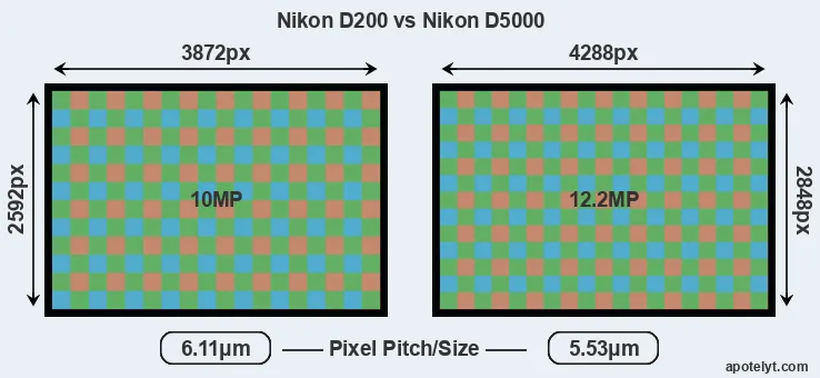 D200 versus D5000 MP