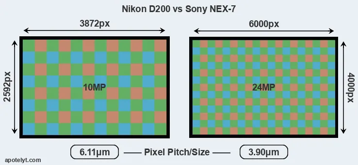 D200 versus NEX-7 MP