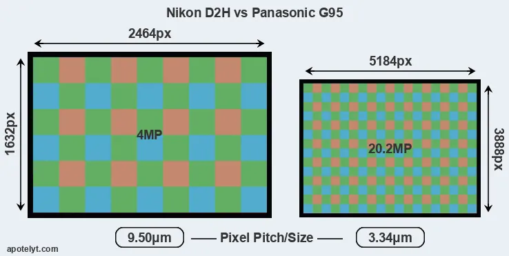 D2H versus G95 MP
