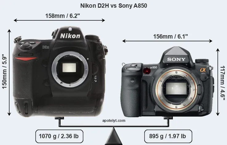 Size Nikon D2H vs Sony A850