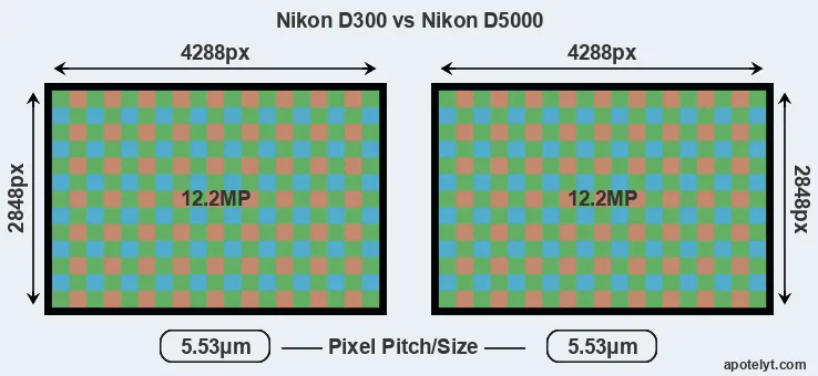 D300 versus D5000 MP