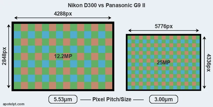 D300 versus G9 II MP