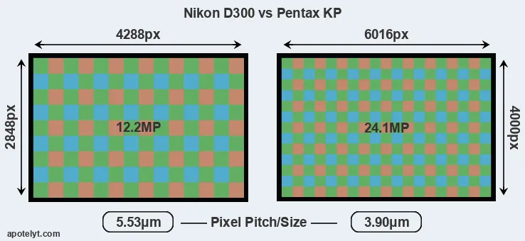 D300 versus KP MP