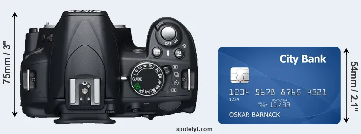 D3100 versus credit card top view