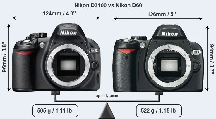 Size Nikon D3100 vs Nikon D60