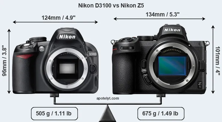 Size Nikon D3100 vs Nikon Z5