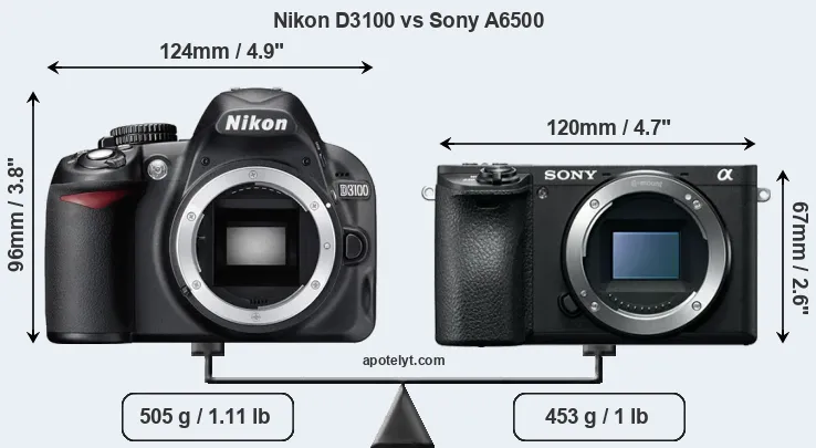 Size Nikon D3100 vs Sony A6500