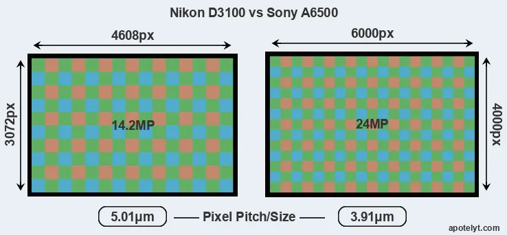 D3100 versus A6500 MP