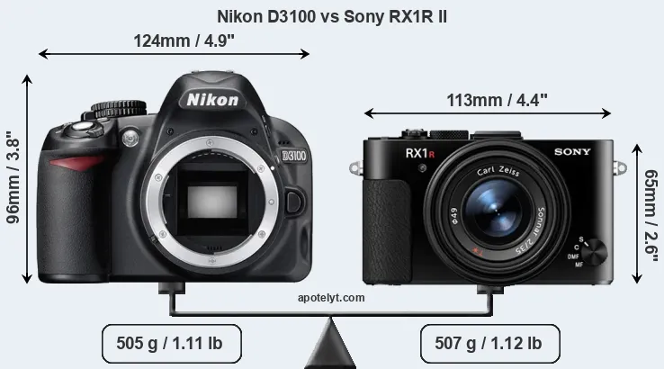 Size Nikon D3100 vs Sony RX1R II