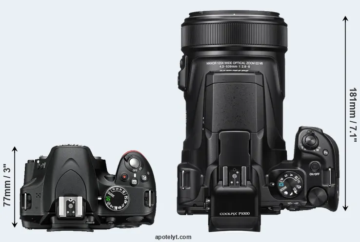 Compare D3200 versus P1000 top
