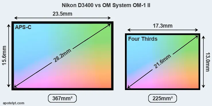 Nikon D3400 and OM System OM-1 II sensor measures