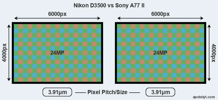 D3500 versus A77 II MP
