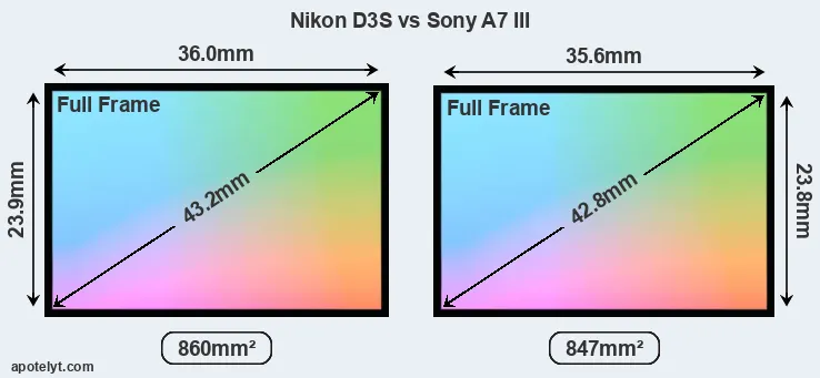 Nikon D3S and Sony A7 III sensor measures