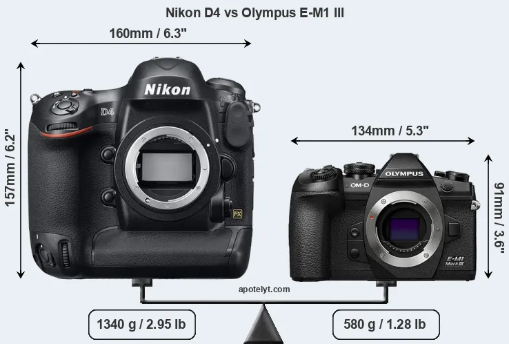 Size Nikon D4 vs Olympus E-M1 III