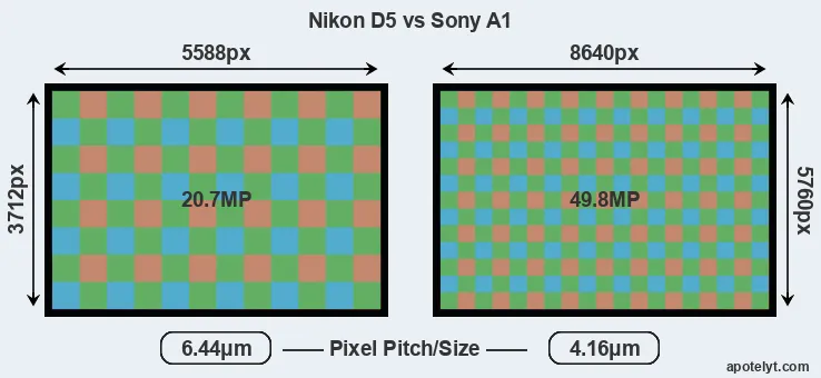 D5 versus A1 MP