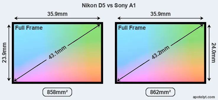 Nikon D5 and Sony A1 sensor measures