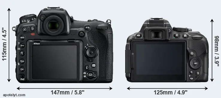 Comparison D500 or D5300 rear